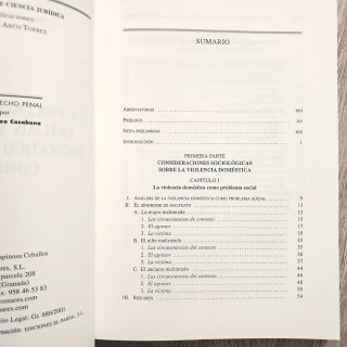 La violencia doméstica: análisis sociológico...