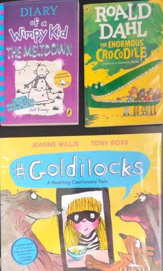 Lote libros de lectura en inglés.