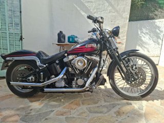Escapes Drag Pipes Harley Softail
