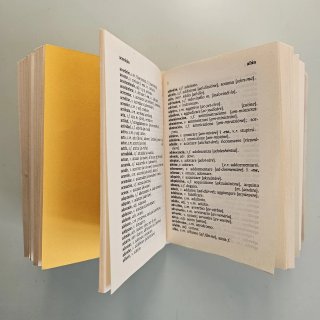 Italiano-spagnolo, spagnolo-italiano