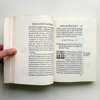 Historia de la imagen de Nuestra Señora del Prado