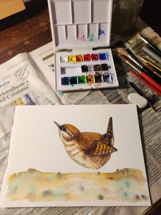 Pintura acuarela original: Chochin