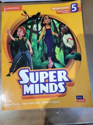 Super Minds Level 5 Super Practice Book British...
