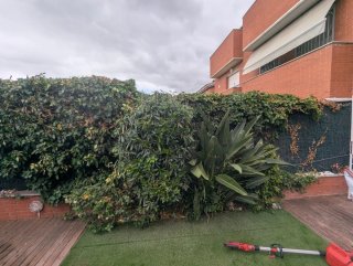 Jardinero Profesional | Servicios de Jardinería