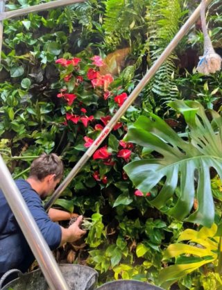 Jardinero Profesional | Servicios de Jardinería