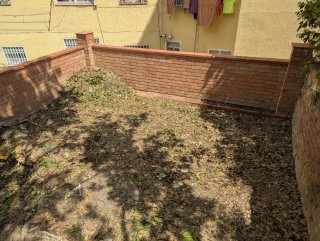 Jardinero Profesional | Servicios de Jardinería