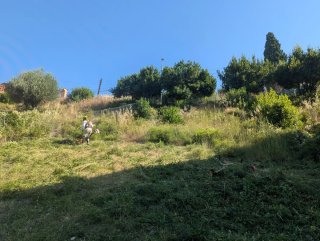 Jardinero Profesional | Servicios de Jardinería