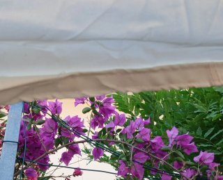 Tenda a vela per giardino