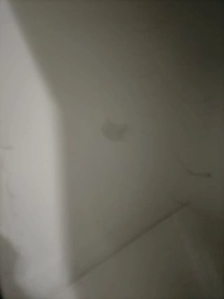 Cama Estúdio com Prateleiras