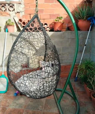Columpio tipo balón