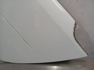 PUERTA TRASERA IZQUIERDA SMART FORFOUR