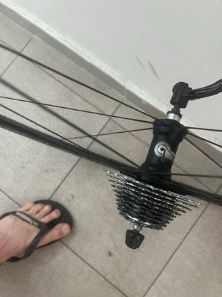 Ruedas Campagnolo Scirocco carretera