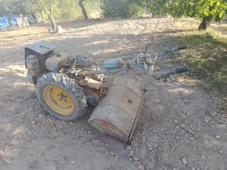 Mula mecánica Bertolini 12cv