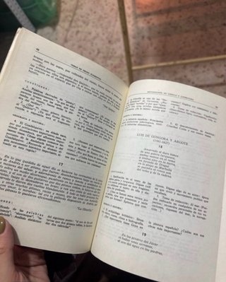 Guias metodologicas. Temas de grado