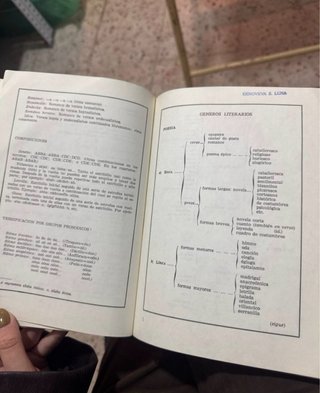Guias metodologicas. Temas de grado
