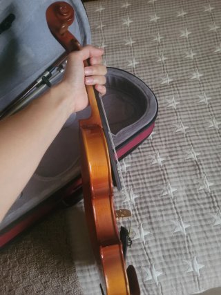 Violín 1/2 con funda