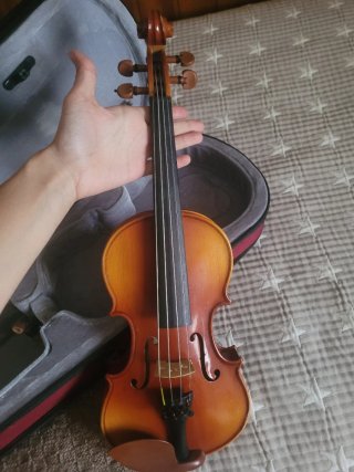 Violín 1/2 con funda