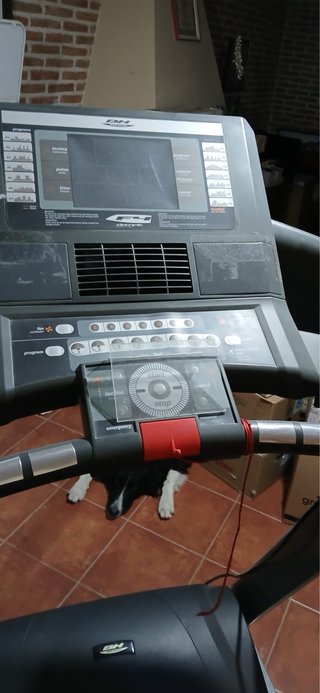 Cinta de Correr BH