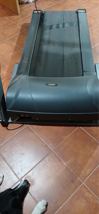 Cinta de Correr BH