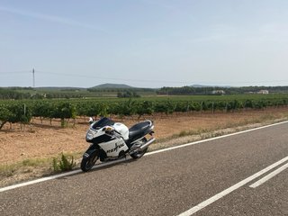 Honda Super Blackbird XX 1100 Bl/White “Repsol”