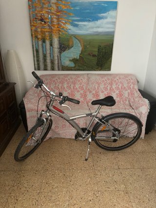 Bicicleta de paseo plateada