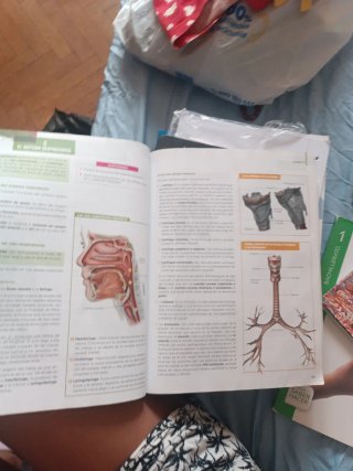 Anatomía aplicada, 1 Bachillerato