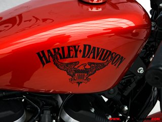 HARLEY-DAVIDSON SPORTSTER IRON 883 ¿A2?