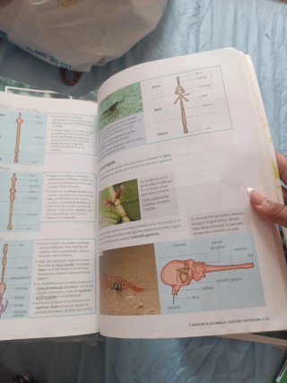 Proyecto: FanFest - Biología, Geología y Cienci...