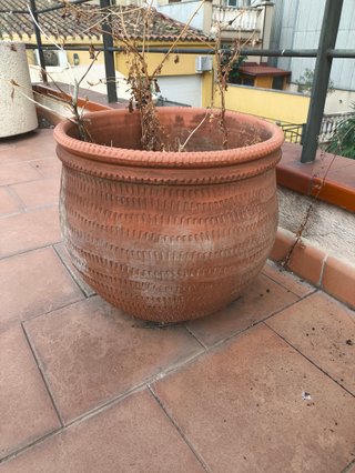 Maceta de terracota grande