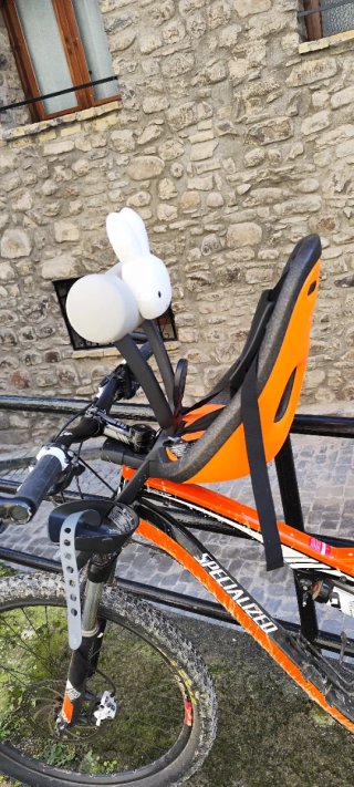 Silla bici Thule Yepp Nexxt 2 Mini