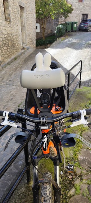Silla bici Thule Yepp Nexxt 2 Mini