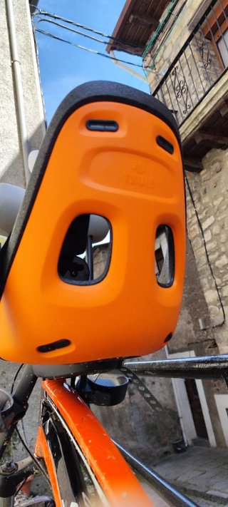 Silla bici Thule Yepp Nexxt 2 Mini