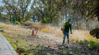 Limpieza de Campos, Parcelas y Naves Industriales