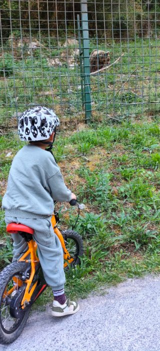Bicicleta Infantil Naranja 14"