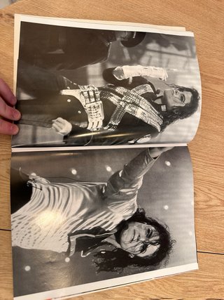 Libro Michael Jackson Biografía años 90