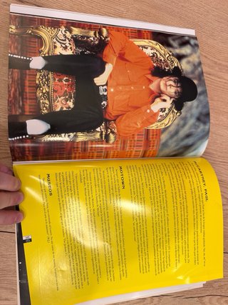 Libro Michael Jackson Biografía años 90