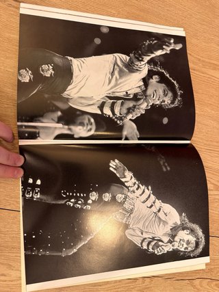 Libro Michael Jackson Biografía años 90