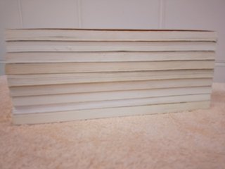 LOTE DE 9 LIBROS DE PABLO DIABLO (azules)