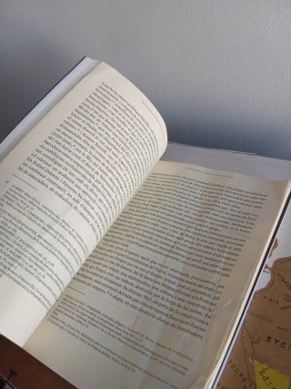 Sant Francesc, els càtars i la llengua catalana