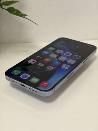 iPhone 13 Pro Max 256GB 100% Batería