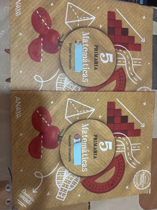 Libros matemáticas 1 y 2 quinto primaria