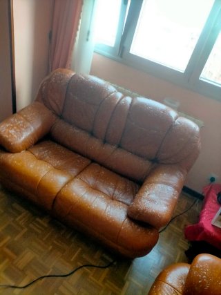 Limpieza y desinfección completa de sofás.