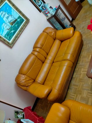 Limpieza y desinfección completa de sofás.