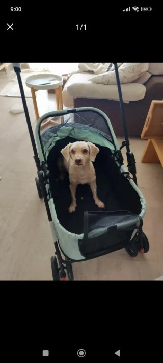 Carrito para perros hasta 25 kg