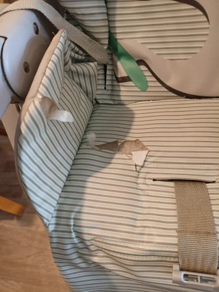 Trona Chicco Polly2Start elefante