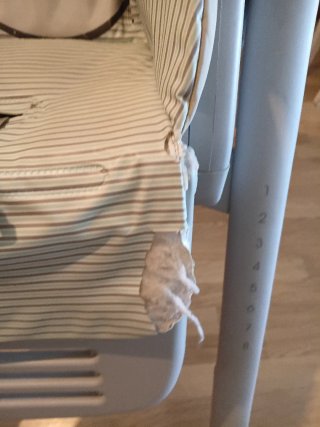 Trona Chicco Polly2Start elefante