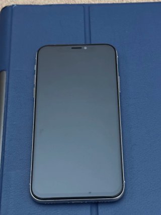 iPhone XS 100% Batteria
