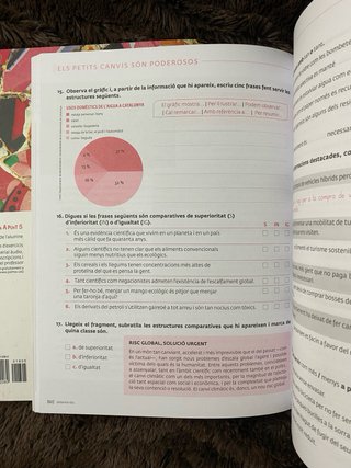 A punt 5, C1 català