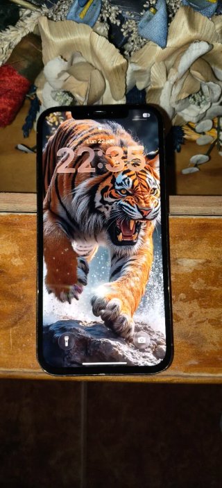 iPhone 12 Pro Max Plata