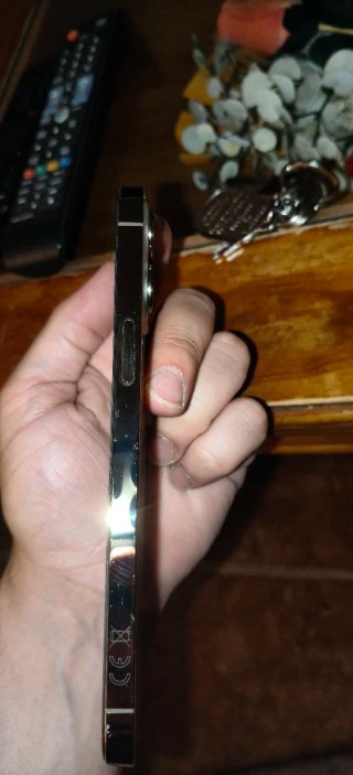 iPhone 12 Pro Max Plata